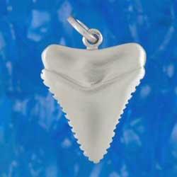 Sharks Tooth Pendant