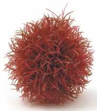 Reef One Ltd Reef One biOrb Aquatic Topiary Colour Ball 1 Pack