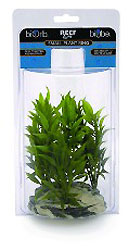 Reef One biOrb Plant Ring Small