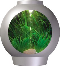 Reef One Ltd Reef One spyOrb 30 Ltr Coldwater with Halogen Light (RRP andpound;139.99)