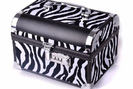 Reelva Travel Cosmetic Vanity Case Beauty Train Box Make Up Gift Set