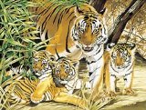Reeves Senior Paint By Numbers - Tiger and Cubs PL23