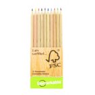 Remarkable Case of 10 Remarkable FSC Colouring Pencils