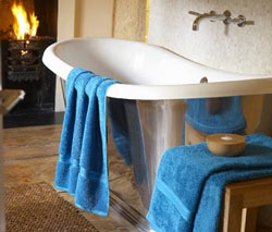 Renaissance Egyptian Cotton