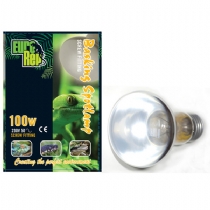 Reptile Euro Rep Basking Spot Lamp 150 Watt Screw Fit