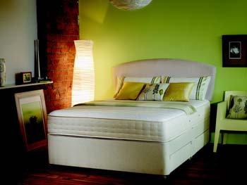 Rest Assured Memory Foam Ortho 1000 Mattress -