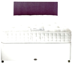 Rest Assured Oasis- 1400 Micro Quilt latex Super