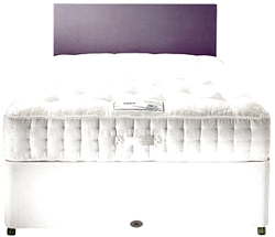 Rest Assured Paradise 2600 Advanced Memory