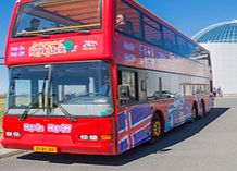 Reykjavik 24 Hour Hop On, Hop Off Bus Tour - Child