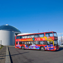 Reykjavik Hop-on/Hop-off City Sightseeing Tour