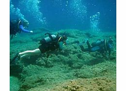 Rhodes Underwater Safari Tour - Non Diver