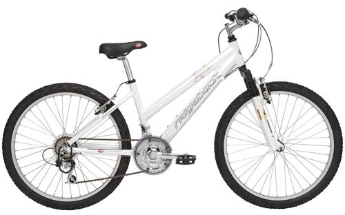 Ridgeback Destiny 2006 Bike