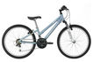 Ridgeback Destiny 2010 Kids Bike (24 Inch Wheel)