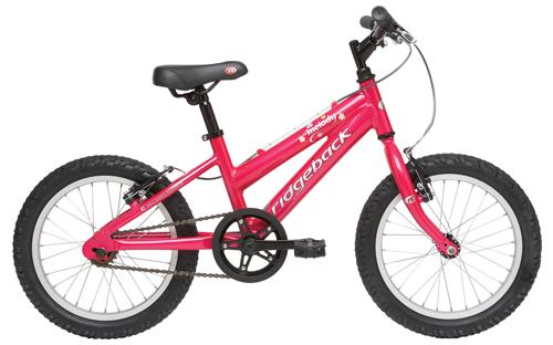 Ridgeback Melody 2006 Bike