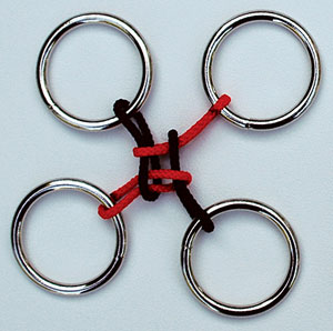 Ring Leader Extreme Metal Puzzle