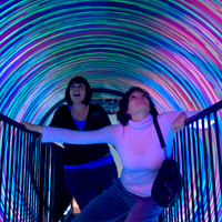 Ripleys Believe it or Not - London inc Mirror Maze