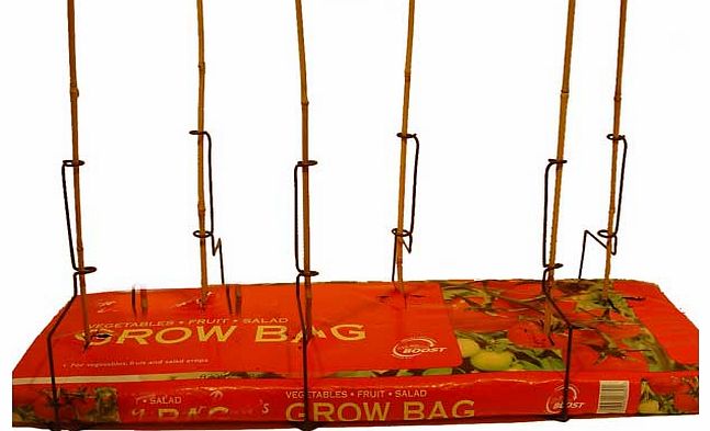 Rob McAlister Ltd Prop-A-Plant - Cane Support for Grow Bags