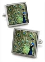 Robert Charles Peacock Cufflinks by