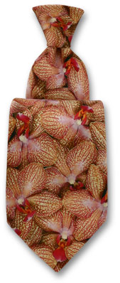 Robert Charles Printed Orchid Tie by