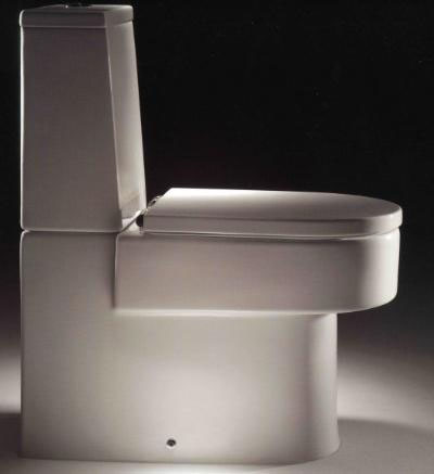 Roca Happening close-coupled WC suite with seat