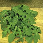 Va-Va-Voom Seeds 435948.htm