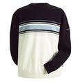 placement stripe crew neck sweater