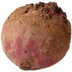 Rod & Bens Organic English Beetroot
