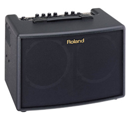 Roland AC60 30W Dual Channel Acoustic Guitar Amp