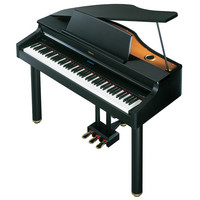 Roland RG-1 Digital Grand Piano Black