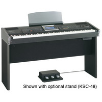 Roland VIMA RK-300 Recreational Keyboard