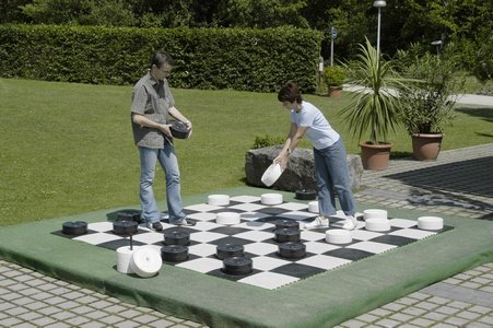Rolly Giant Draughts Pieces