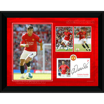 Framed Player Profile (16x12`)