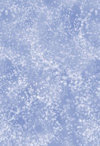 Setter - Snow Flurries