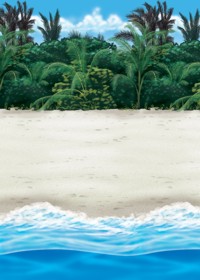 Setter - Tropical Beach