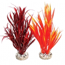 Sydeco Dandeacute;cor African Sword Plant