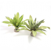 Sydeco Dandeacute;cor Amazon Terrarium