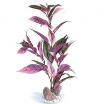 Sydeco Dandeacute;cor Burgundy Rock XL