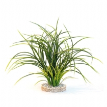 Sydeco Dandeacute;cor Fan Grass
