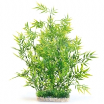 Sydeco Dandeacute;cor Giant Bamboo