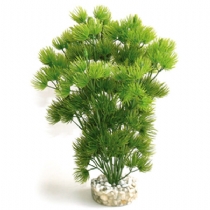 Sydeco Dandeacute;cor Japanese Plant