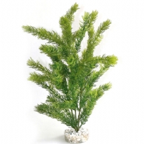 Sydeco Dandeacute;cor Sea Pearl