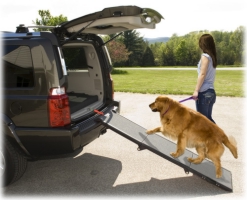 Pet-Gear Tri-Fold Pet and Dog Ramp