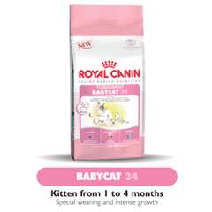 royal Canin Feline Health Baby Cat 34 4kg