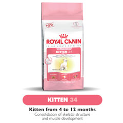 royal Canin Feline Health Kitten 36 4kg
