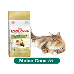 royal Canin Feline Health Maine Coon 31 4kg