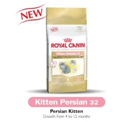 royal Canin Feline Health Persian Kitten 32 4kg