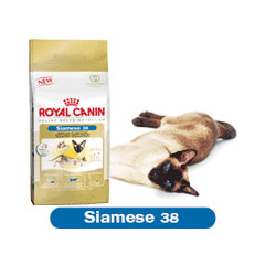 royal Canin Feline Health Siamese 38 4kg