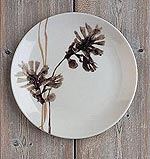 Royal Doulton 20 cms Salad Plate- Seaweed