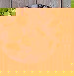 Royal Doulton 30 cms Charger- Pebble