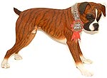 Royal Doulton Bernie - Boxer Brindle - Standing